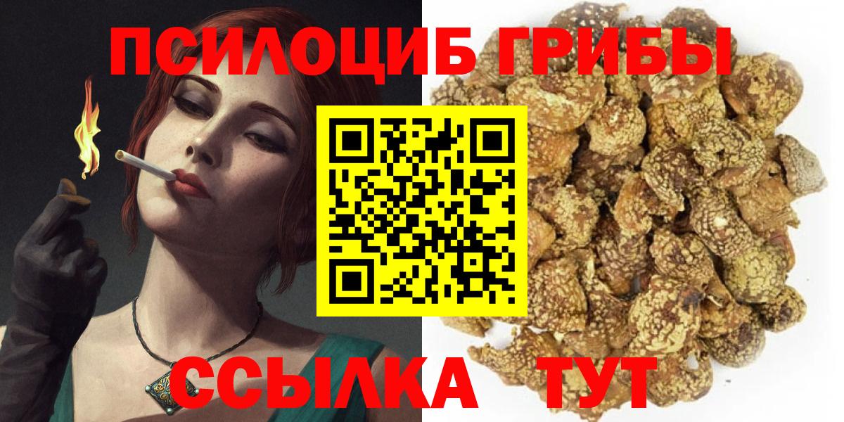 Галлюциногенные грибы Magic Shrooms  Вход с VPN  Ленинск-Кузнецкий 